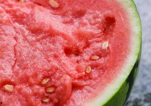 杭州吃瓜微信,一网打尽网红美食与街头小吃