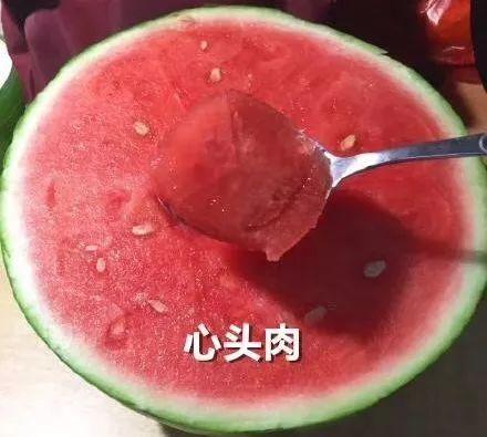 医生穿越吃瓜,医生穿越时空的吃瓜之旅