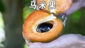 外国人吃哈密瓜面,外国人品尝哈密瓜面的独特体验