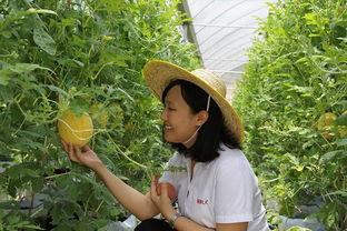 青州 吃瓜,品味夏日清凉