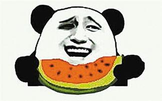 人群吵架吃瓜群众青蛙,吃瓜群众青蛙视角下的社会百态
