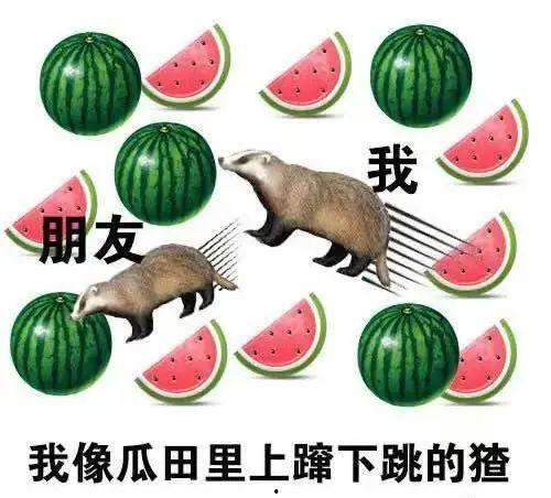 吃瓜从哪找,从网络热词到社会现象的演变