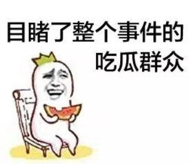 吃瓜群众十二,揭秘生肖背后的趣味故事