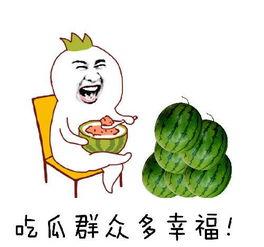 每次都是吃瓜群众,见证娱乐圈风云变幻的旁观者