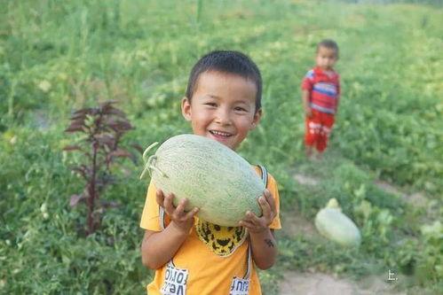 巴太吃瓜,揭秘娱乐圈幕后风云