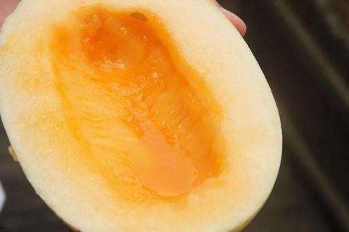瓜田吃瓜爱好者,尽享夏日清凉时光