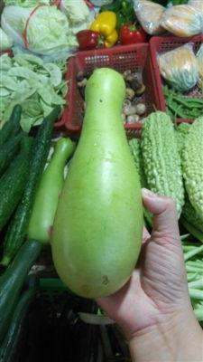 蒲瓜苦味可以吃吗,探究其可食用性