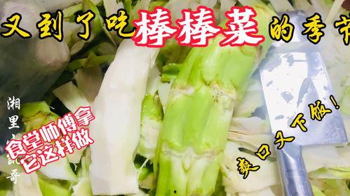 遂昌老师吃瓜,一场校园风波背后的真相与反思