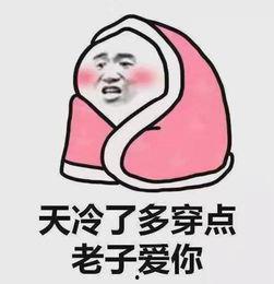 吃瓜懵逼图片,揭秘网络热图的背后真相